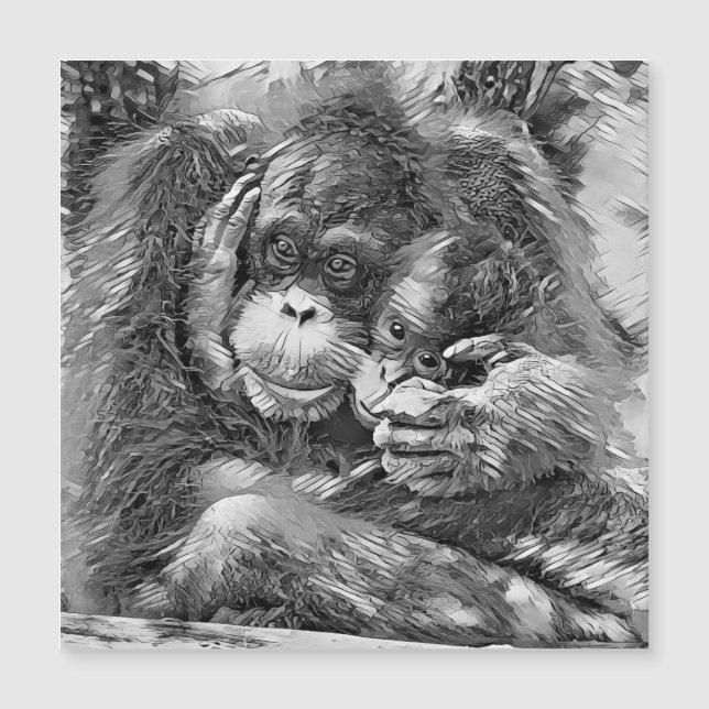 AnimalArtBW_OrangUtan_001 (Voorkant)