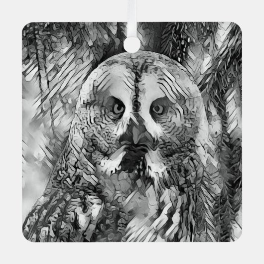 AnimalArtBW_Owl_001 Metalen Ornament (Voorkant)