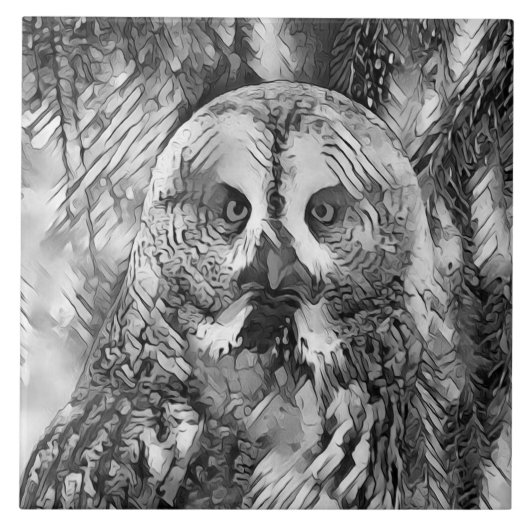 AnimalArtBW_Owl_001 Tegeltje (Voorkant)