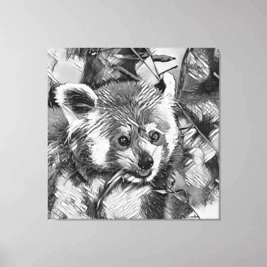 AnimalArtBW_RedPanda_003 Canvas Afdruk (Voorkant)