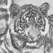 AnimalArtBW_Tiger_009 Sticker (Voorkant)