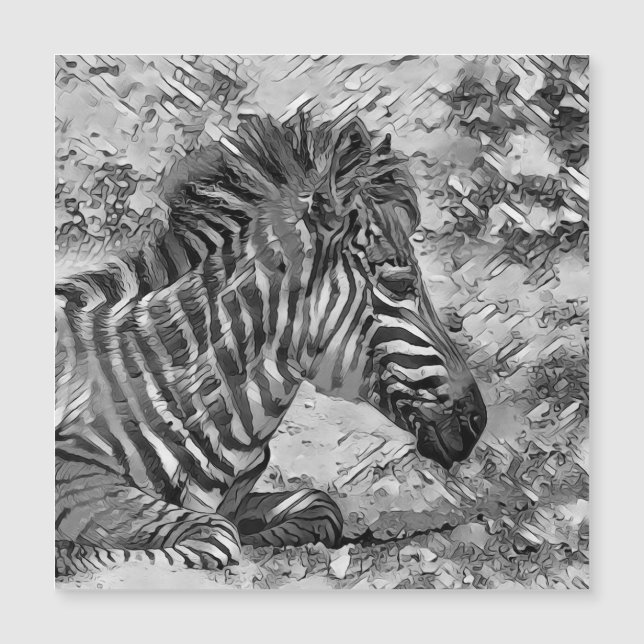 AnimalArtBW_Zebra_001 (Voorkant)