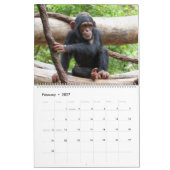 AnimalBabies 001 Kalender (Feb 2027)