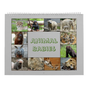 AnimalBabies 001 Kalender