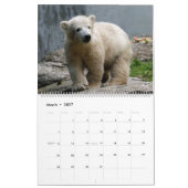 AnimalBabies 001 Kalender (Mar 2027)