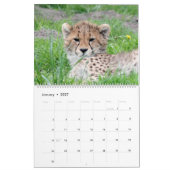 AnimalBabies 001 Kalender (Jan 2027)