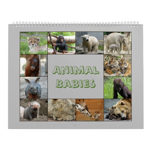 AnimalBabies 001 Kalender (Hoes)