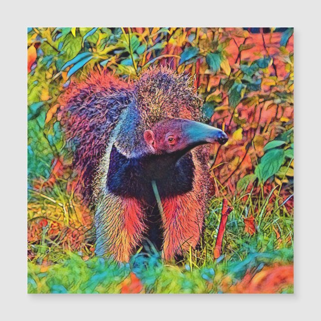 AnimalColor_Anteater_001 (Voorkant)
