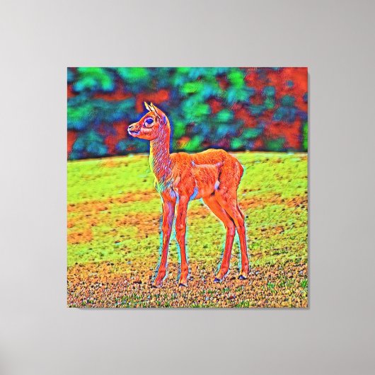 AnimalColor_Antilope_001 Canvas Afdruk (Voorkant)