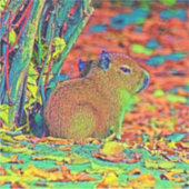 AnimalColor_Capybara_001 Sticker (Voorkant)
