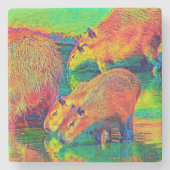 AnimalColor_Capybara_004 Stenen Onderzetter (Voorkant)