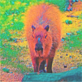 AnimalColor_Capybara_011 Sticker (Voorkant)