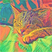 AnimalColor_Cat_07 Sticker (Voorkant)