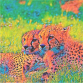 AnimalColor_Cheetah_008 Sticker (Voorkant)