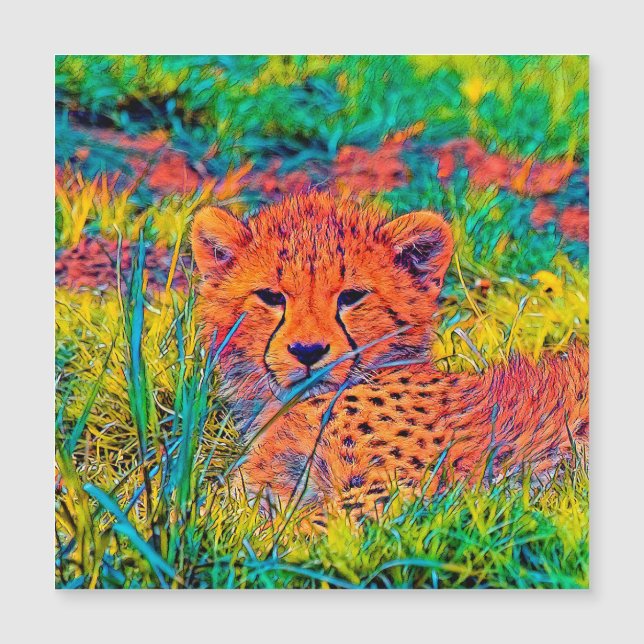AnimalColor_Cheetah_017 (Voorkant)