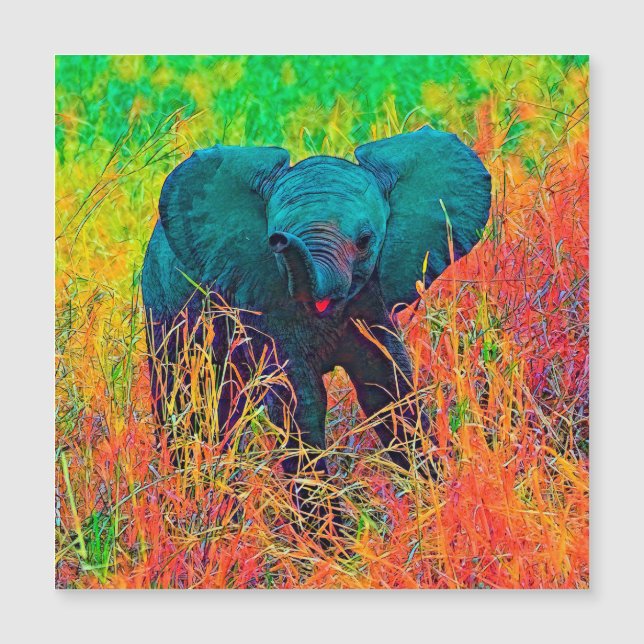 AnimalColor_Elephant_002 (Voorkant)