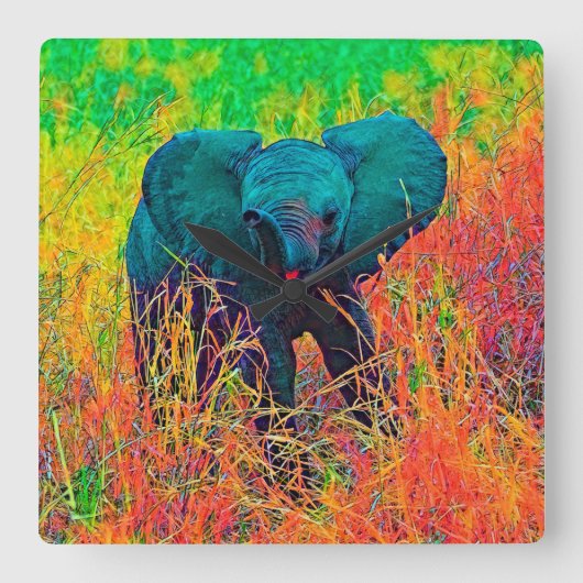 AnimalColor_Elephant_002 Vierkante Klok (Voorkant)