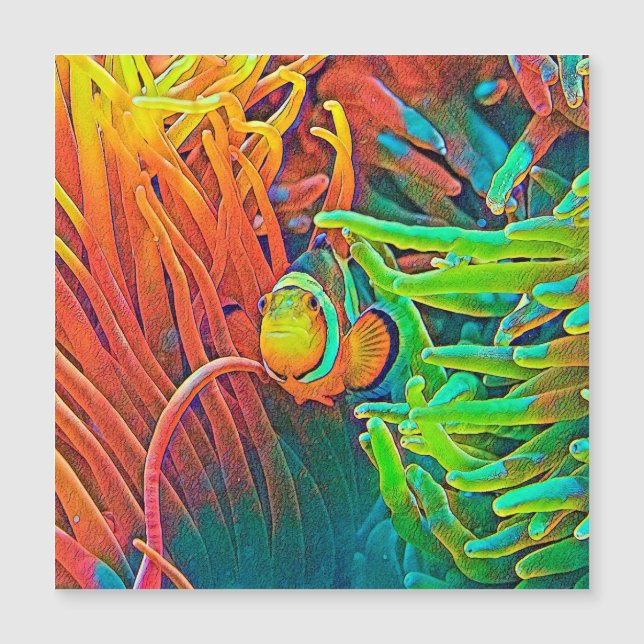 AnimalColor_Fish_001 (Voorkant)