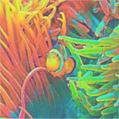 AnimalColor_Fish_001 Sticker (Voorkant)