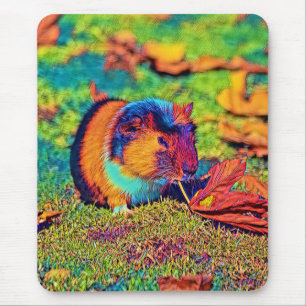 AnimalColor_Guineapig_001 Muismat