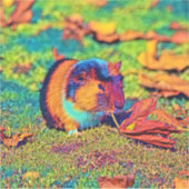 AnimalColor_Guineapig_001 Sticker (Voorkant)