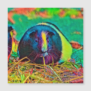 AnimalColor_Guineapig_002