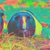AnimalColor_Guineapig_002 Sticker (Voorkant)