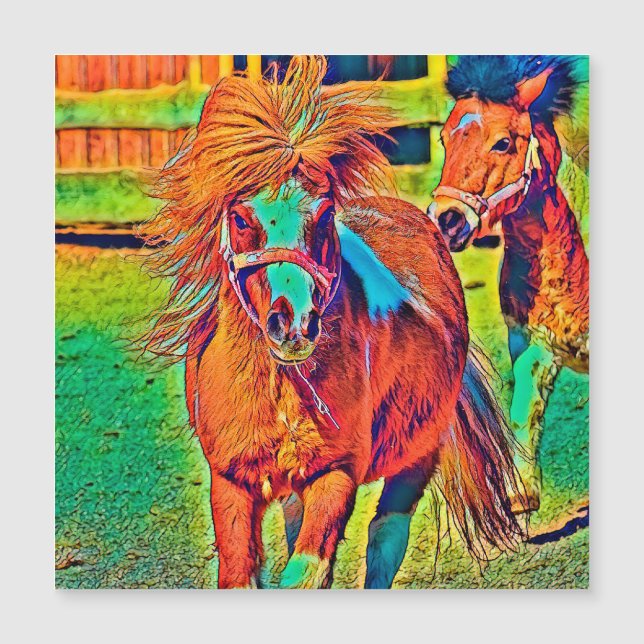 AnimalColor_Horse_001 (Voorkant)