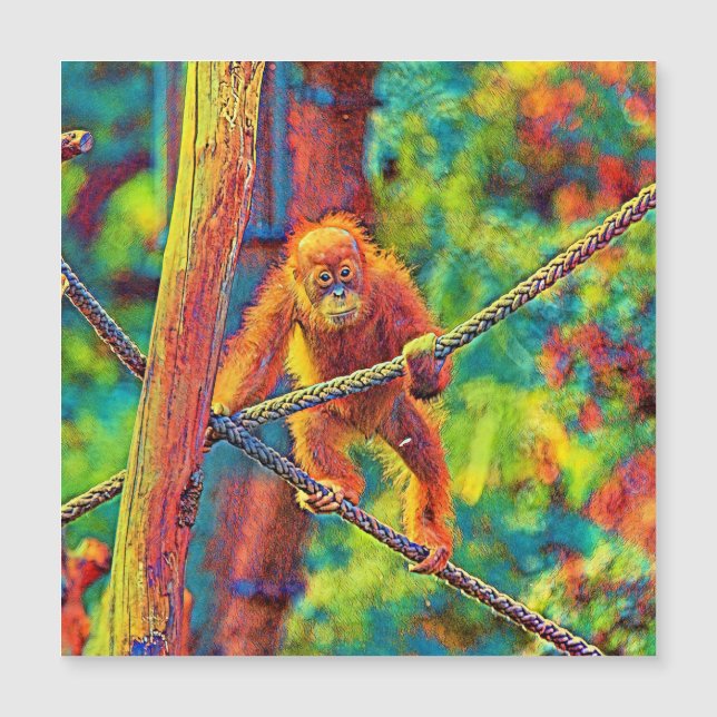 AnimalColor_OrangUtan_014 (Voorkant)