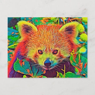AnimalColor_RedPanda_001 Briefkaart