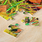 AnimalColor_ReuzenGordeldier_001 Legpuzzel (Zijkant)