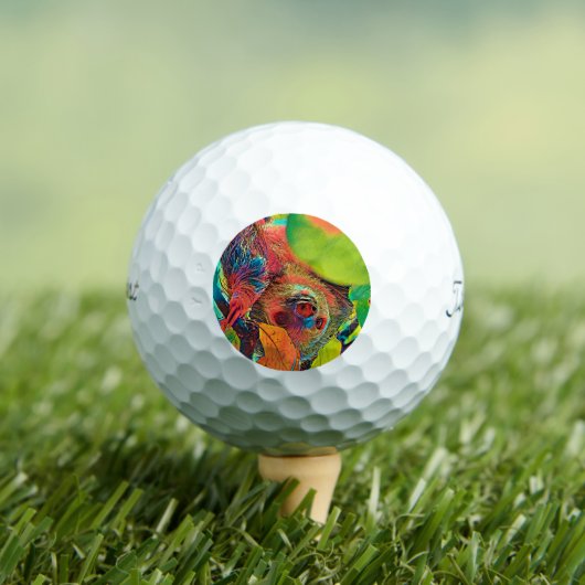 AnimalColor_Sloth_001 Golfballen (Insitu Shirt)