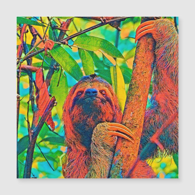 AnimalColor_Sloth_003 (Voorkant)