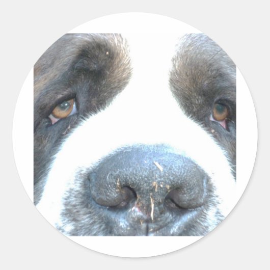 Animales Ronde Sticker (Voorkant)