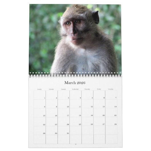 Animalia 2025 kalender (Mar 2026)