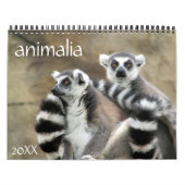 Animalia 2025 kalender (Hoes)