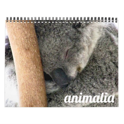 animalia 2026 kalender (Hoes)