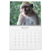 animalia 2027 kalender (Mar 2027)