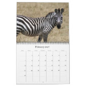 animalia 2027 kalender (Feb 2027)