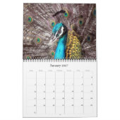 animalia 2027 kalender (Jan 2027)