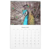 animalia kalender (Jan 2027)