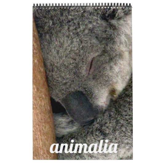 animalia kalender (Hoes)