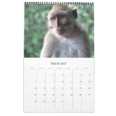 animalia kalender (Mar 2027)