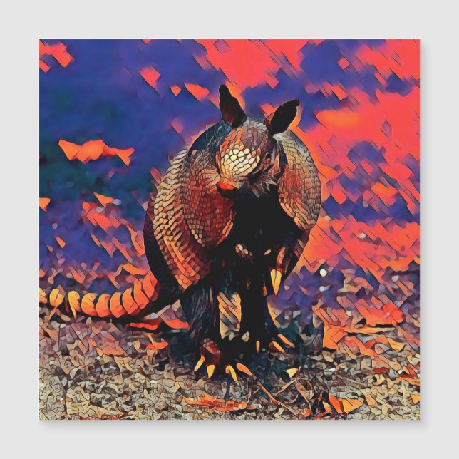 AnimalMix_Armadillo_001 (Voorkant)