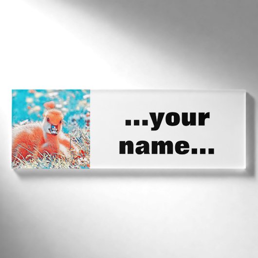 AnimalMix_Bird_019 Naambadge (Voorkant)