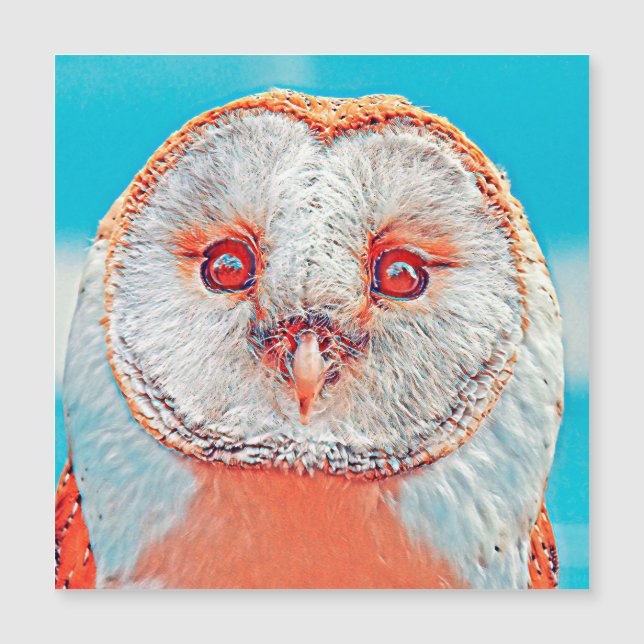 AnimalMix_Bird_023 (Voorkant)