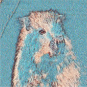 AnimalMix_Capybara_001 Sticker (Voorkant)