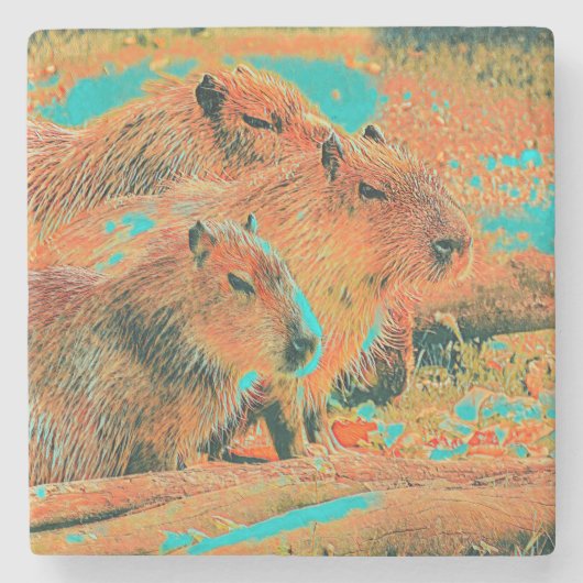 AnimalMix_Capybara_006 Stenen Onderzetter (Voorkant)
