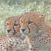 AnimalMix_Cheetah_031 Sticker (Voorkant)