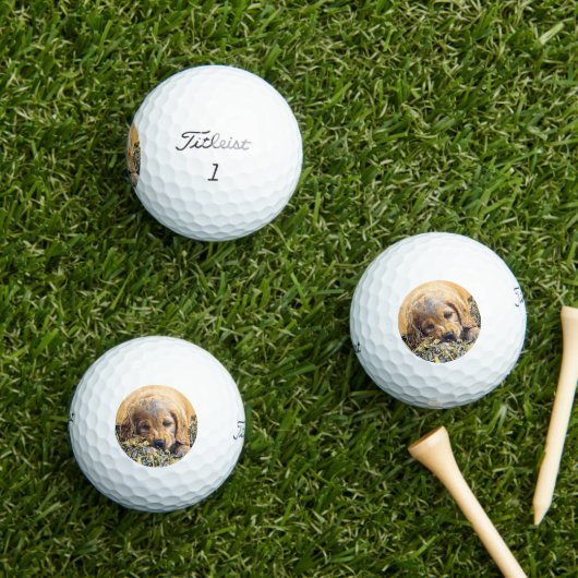 AnimalMix_Dog_005 Golfballen (Insitu Gras)